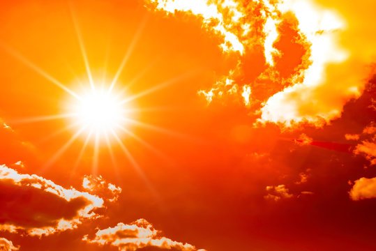 Essential Tips for Heat Wave Protection