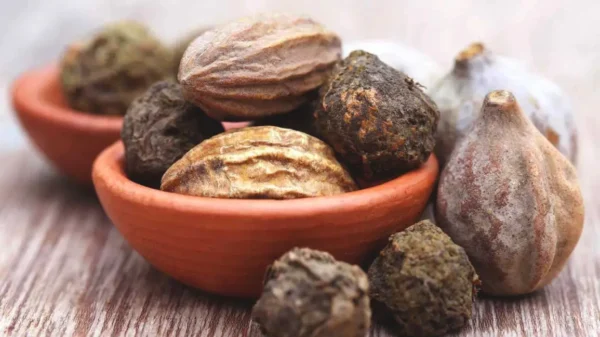 Triphala Ayurvedic fruits